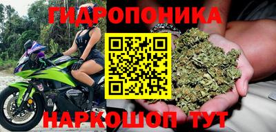 гидропоника Ачхой-Мартан