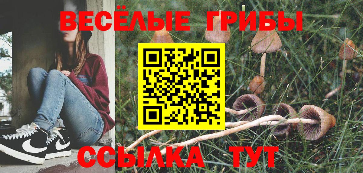 Псилоцибиновые грибы Psilocybe  Вход с VPN  Галлюциногенные грибы ЛСД  Дивногорск 