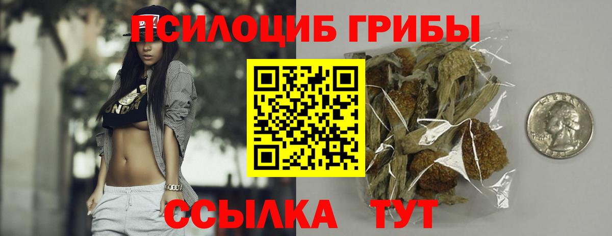Псилоцибиновые грибы Cubensis Дивногорск